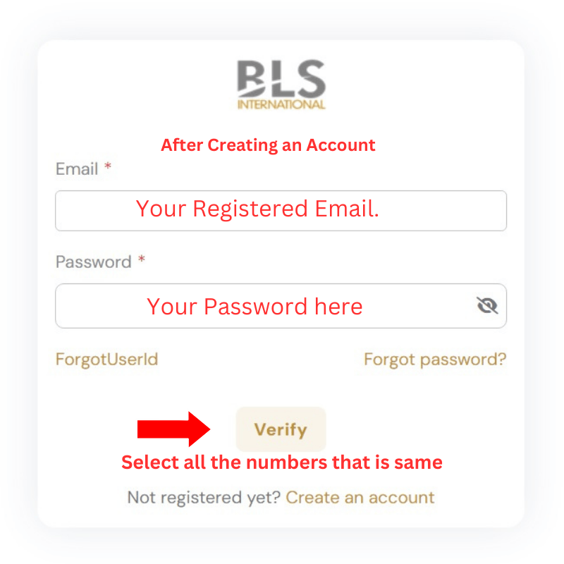 BLS Spain visa log in page